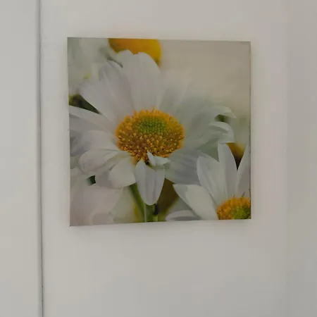 Casa Simonetta Appartamento *